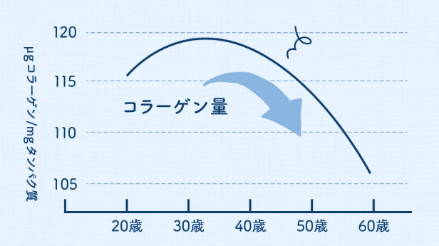 年齢とともにコラーゲンは減少することがわかるグラフの画像