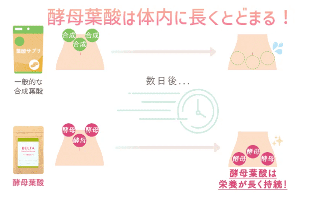 酵母葉酸の画像