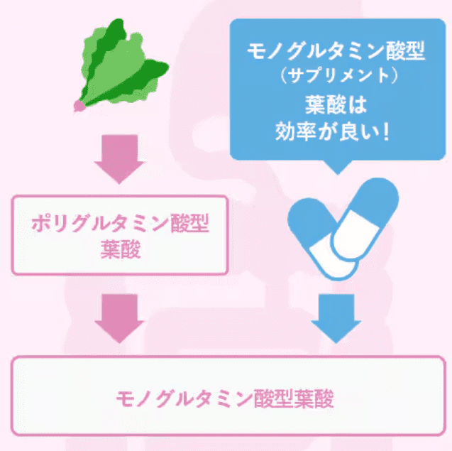 モノグルタミンの画像